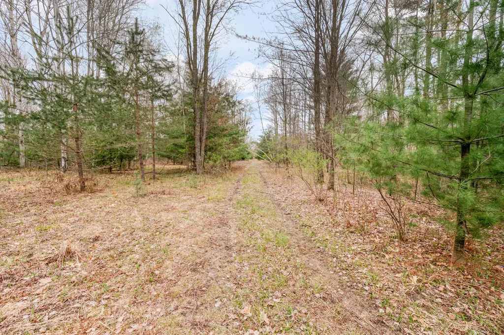 22132 15th Avenue Fork Township MI 49679