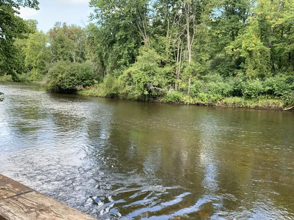15070 Rapids Drive Hersey Township MI 49639