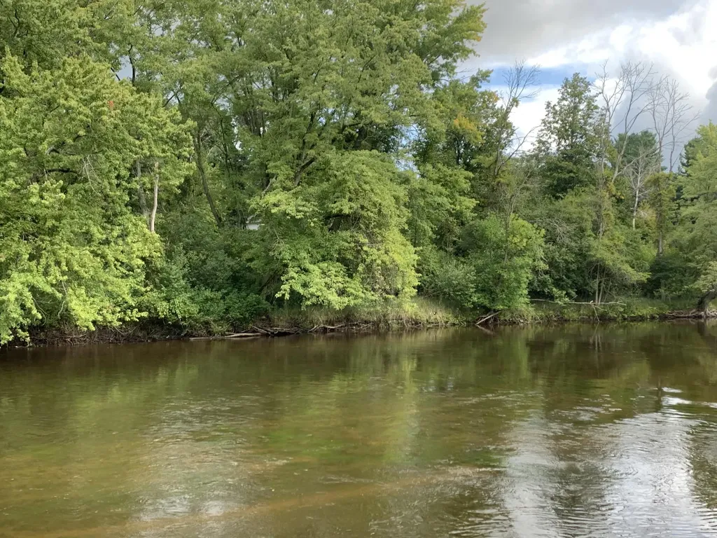 15070 Rapids Drive Hersey Township MI 49639