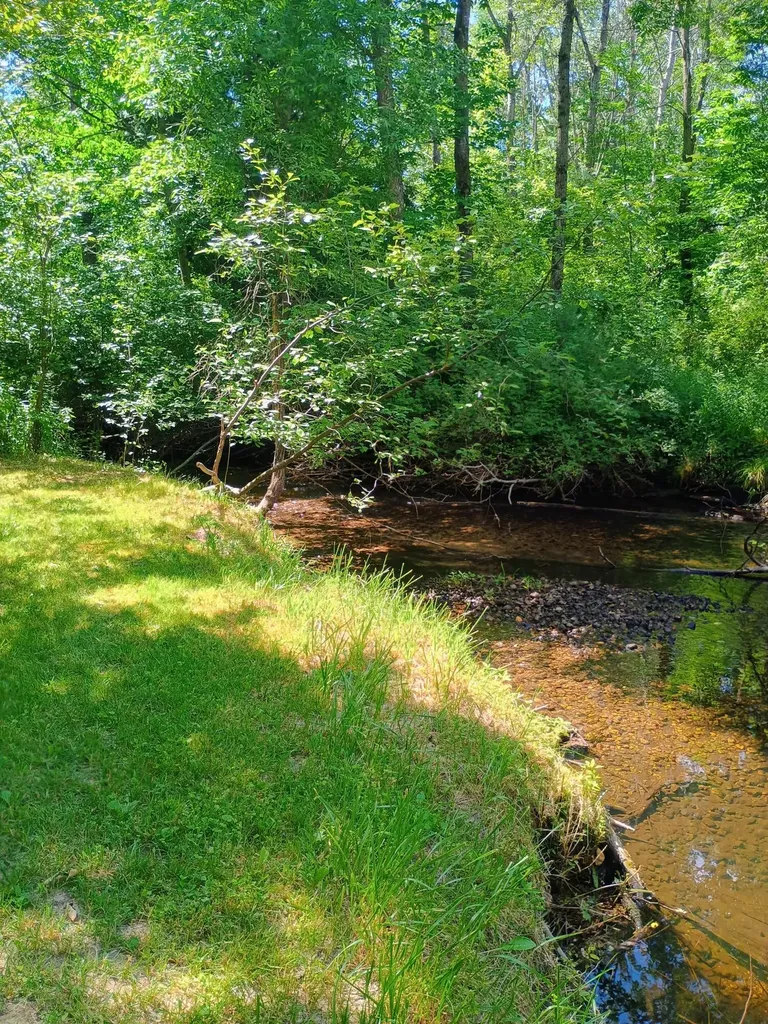 167 Mill Road Millbrook Township MI 49310