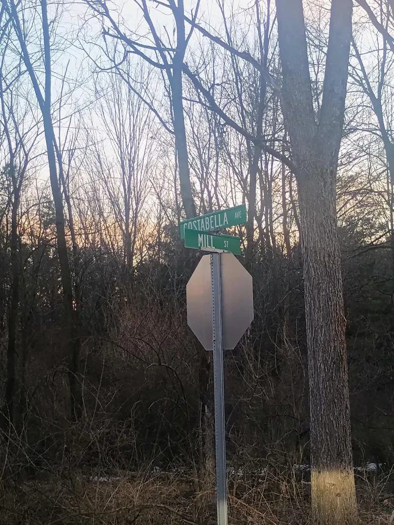 167 Mill Road Millbrook Township MI 49310