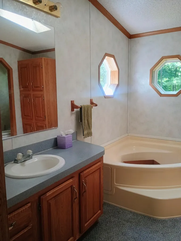 167 Mill Road Millbrook Township MI 49310