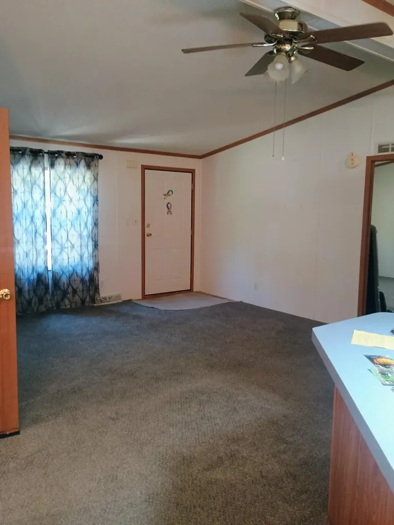 167 Mill Road Millbrook Township MI 49310