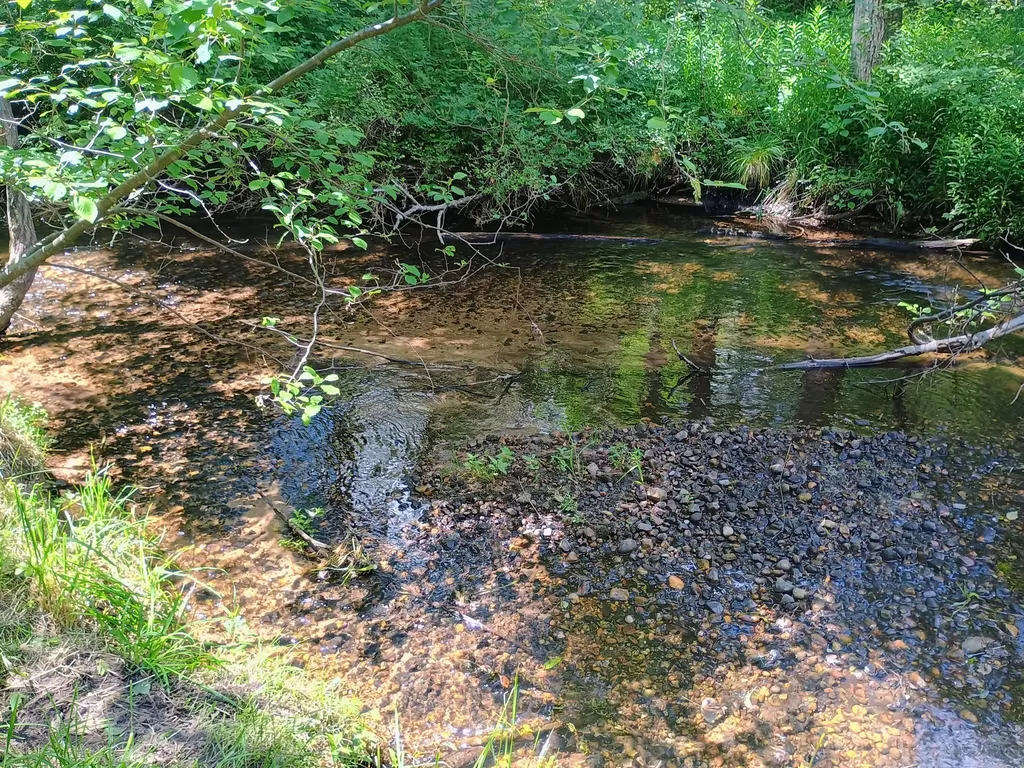 167 Mill Road Millbrook Township MI 49310