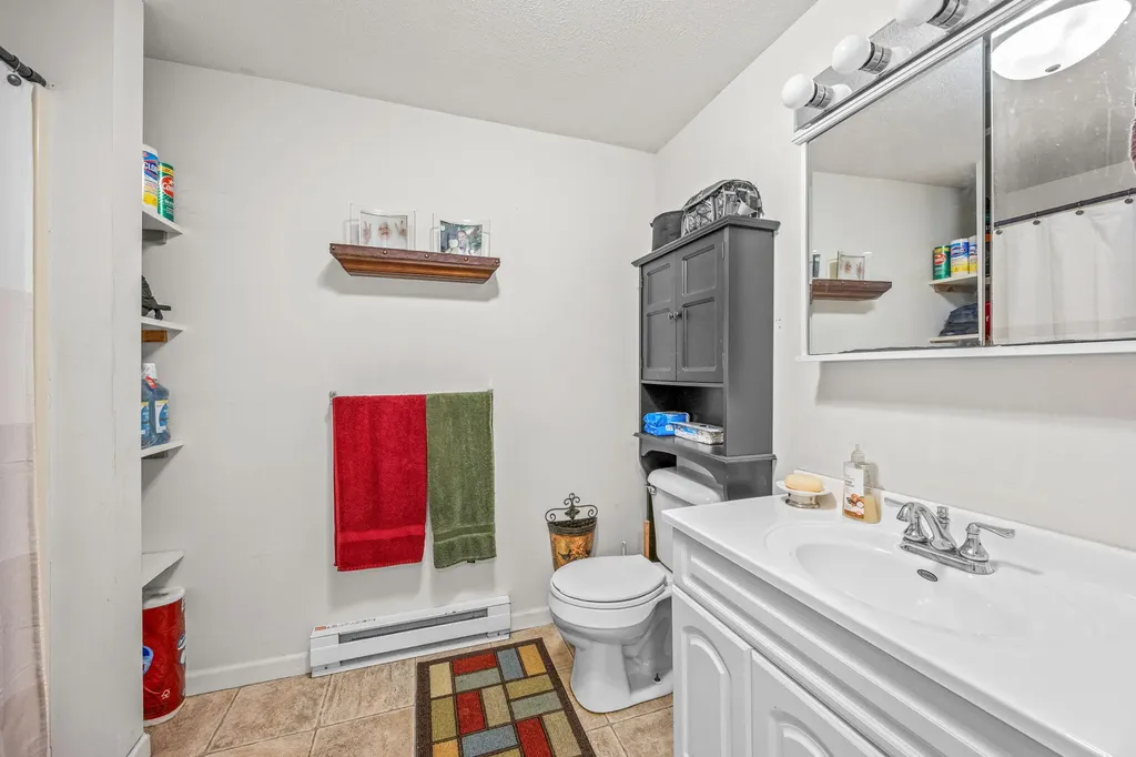 9577 Shore Drive Morton Township MI 49332