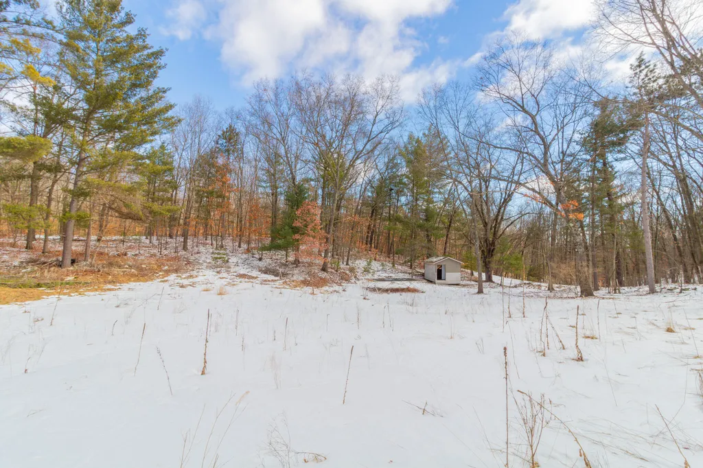 9848 90th Avenue Morton Township MI 49332