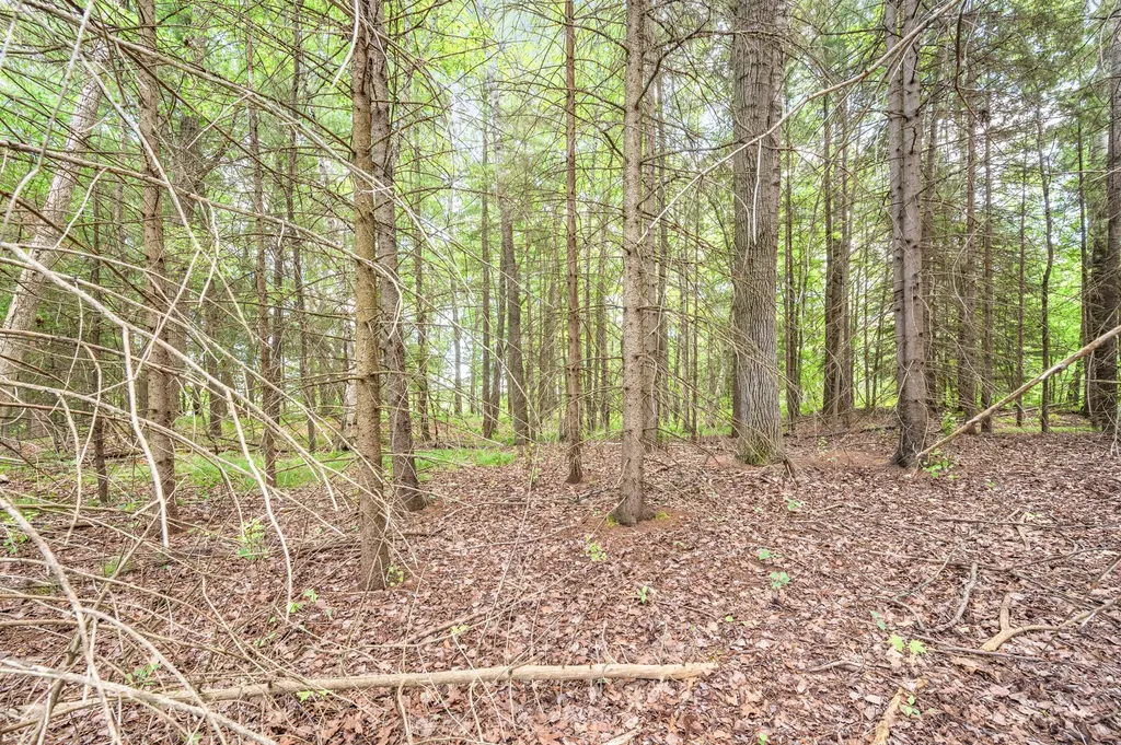 14360 16 Mile Road Colfax Township MI 49342