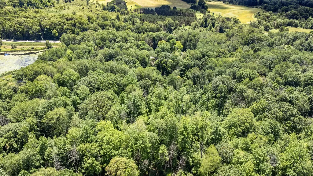 14360 16 Mile Road Colfax Township MI 49342