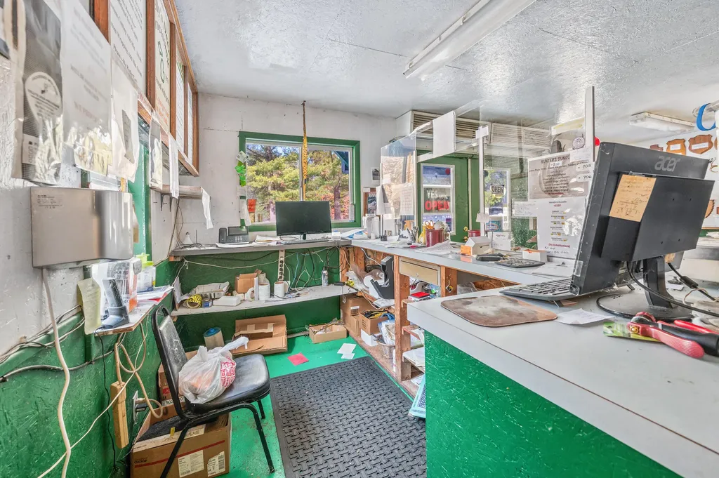 19055 12 Mile Road Mecosta Township MI 49307