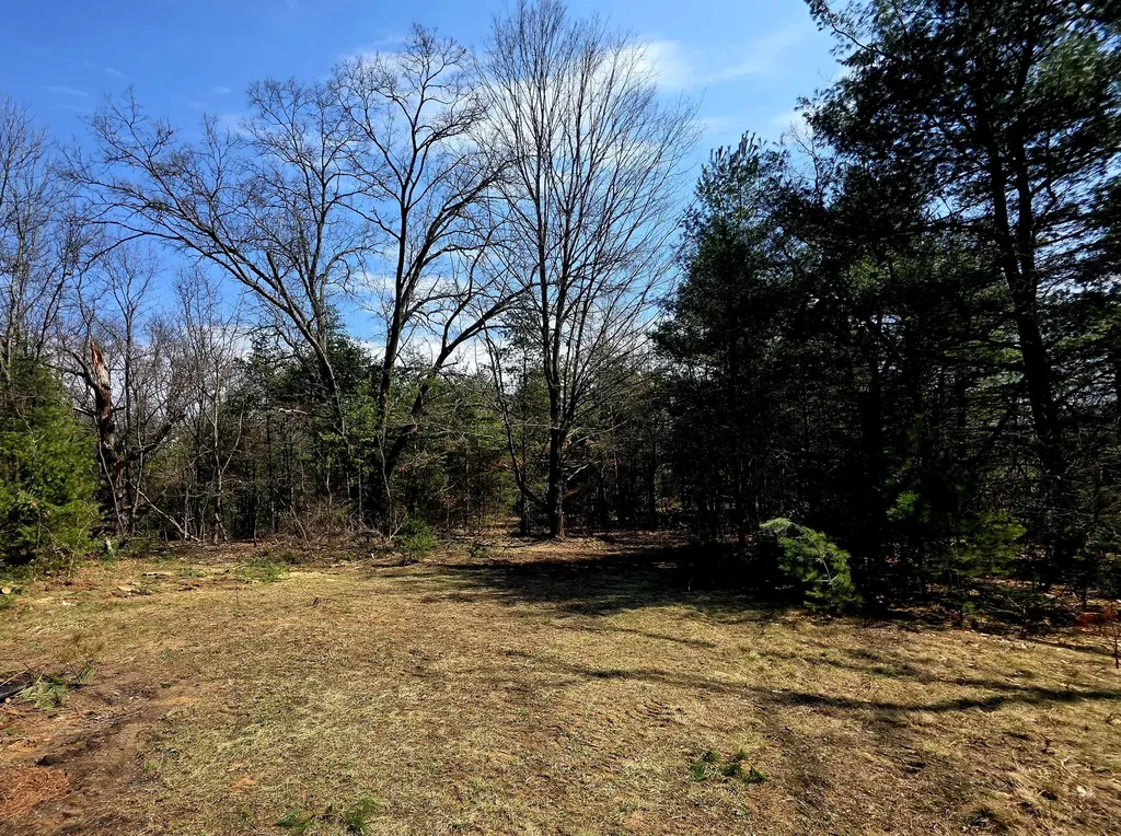 3696 S Locust Avenue Big Prairie Township MI 49337