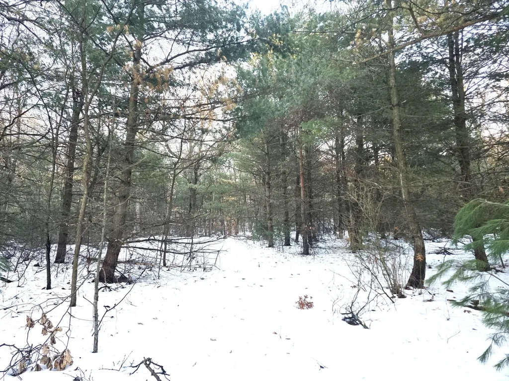3696 S Locust Avenue Big Prairie Township MI 49337