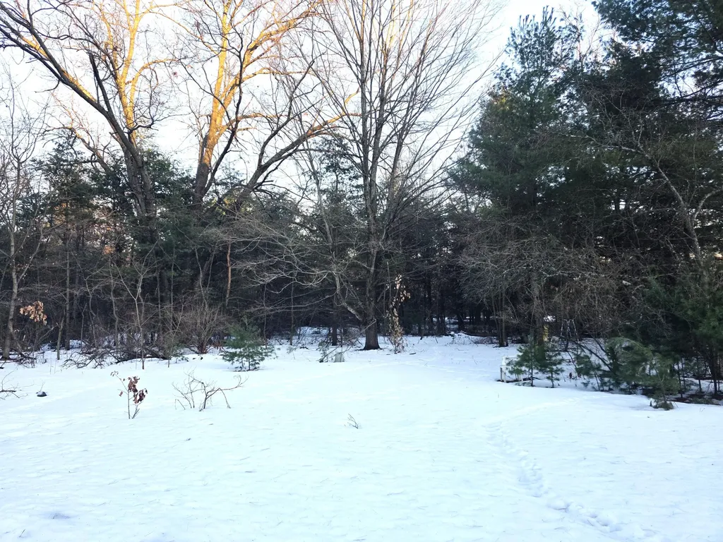 3696 S Locust Avenue Big Prairie Township MI 49337