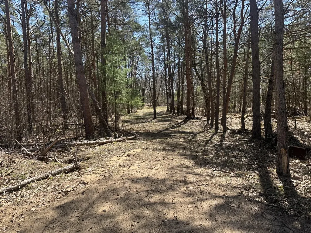 604 W Beaver Road Lilley Township MI 49309