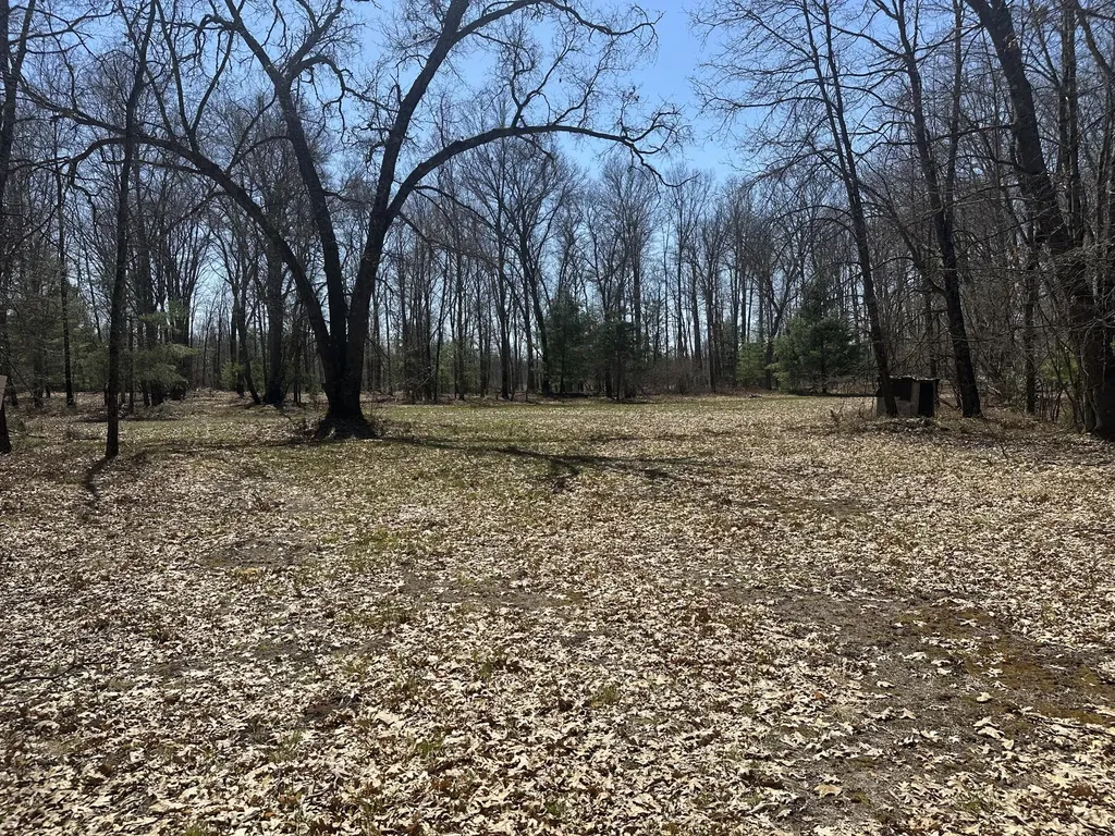604 W Beaver Road Lilley Township MI 49309