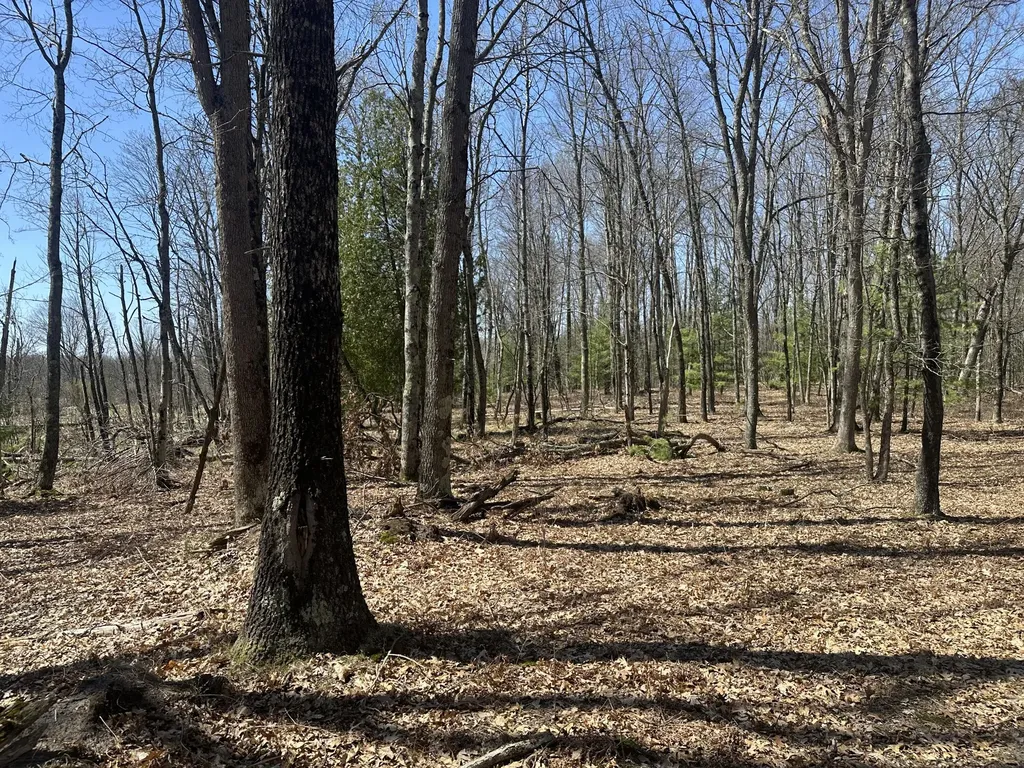 604 W Beaver Road Lilley Township MI 49309
