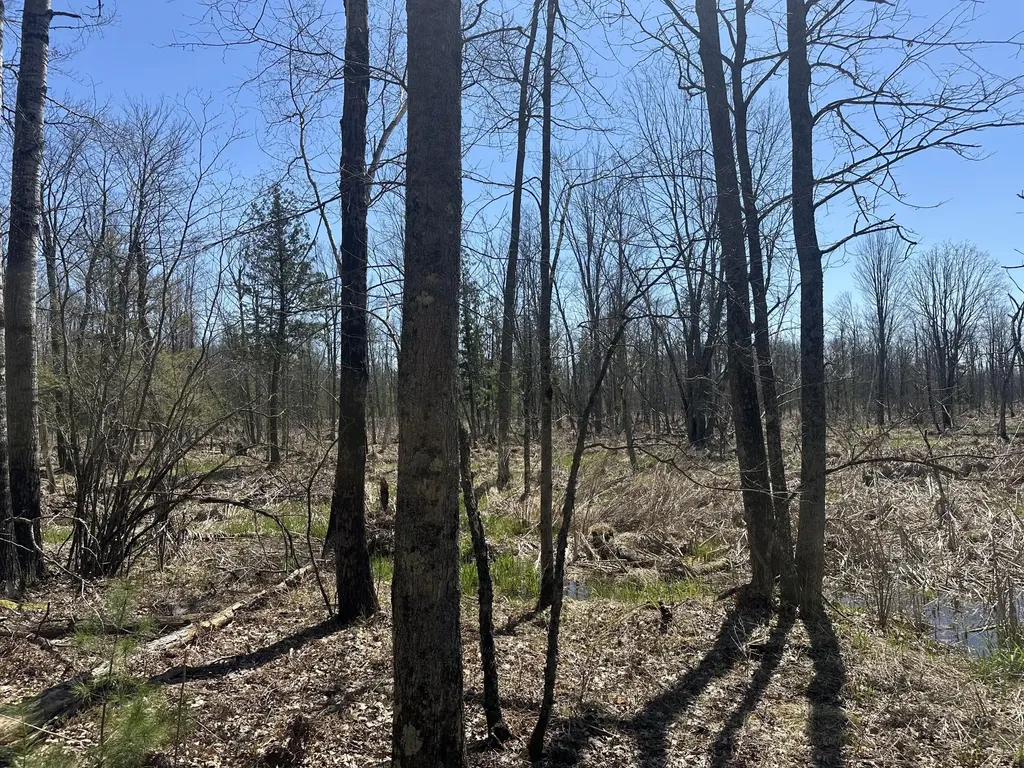 604 W Beaver Road Lilley Township MI 49309