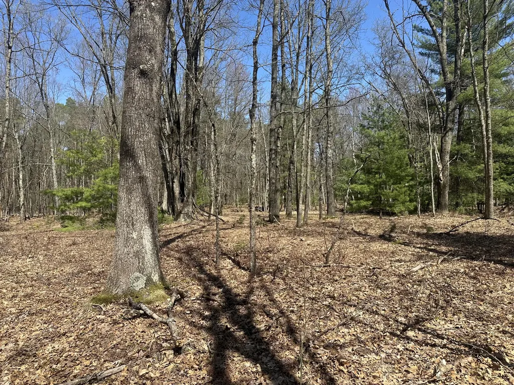 604 W Beaver Road Lilley Township MI 49309