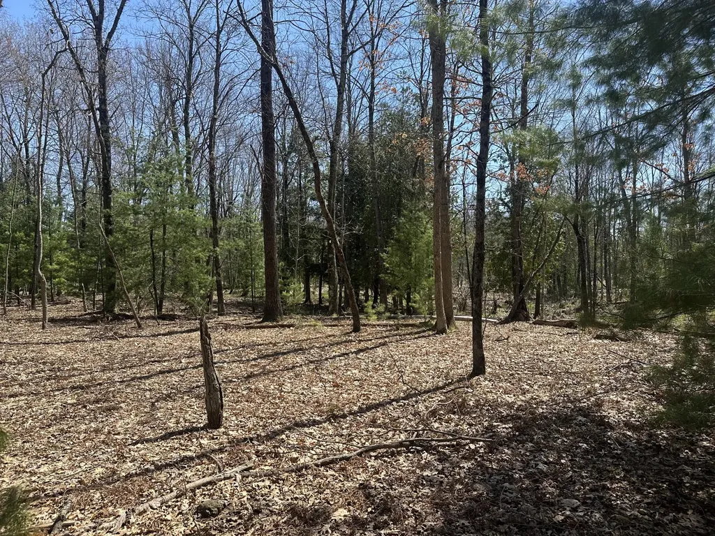 604 W Beaver Road Lilley Township MI 49309