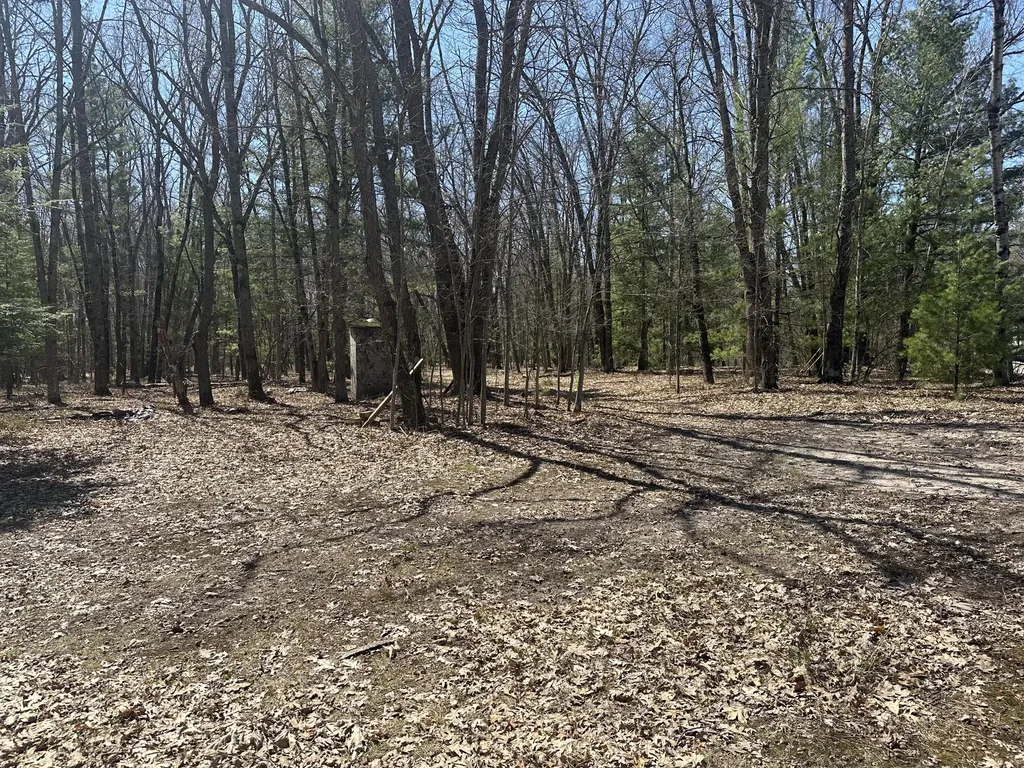 604 W Beaver Road Lilley Township MI 49309