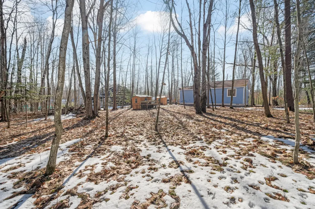 7174 Oak Hollow Trail Clare City MI 48632