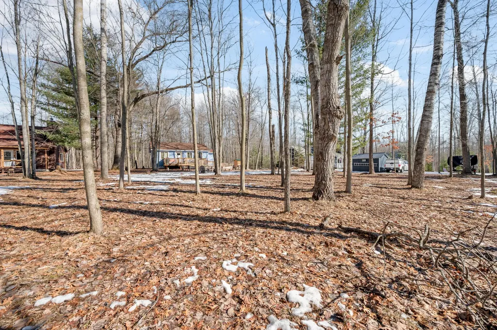 7174 Oak Hollow Trail Clare City MI 48632