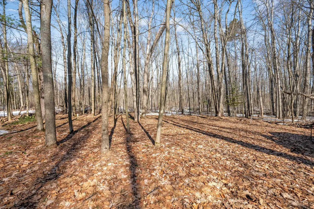 7174 Oak Hollow Trail Clare City MI 48632