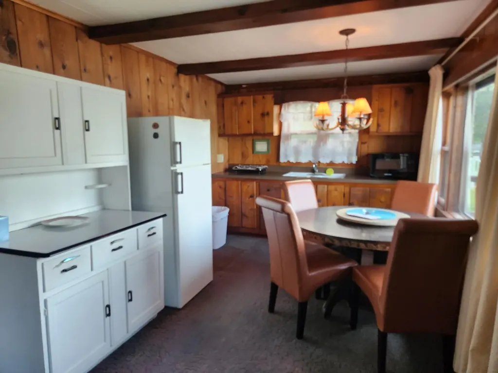 6176 S Hamlin Circle Pleasant Plains Township MI 49304