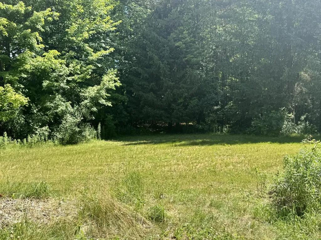 15075 Pierce Road Austin Township MI 49346