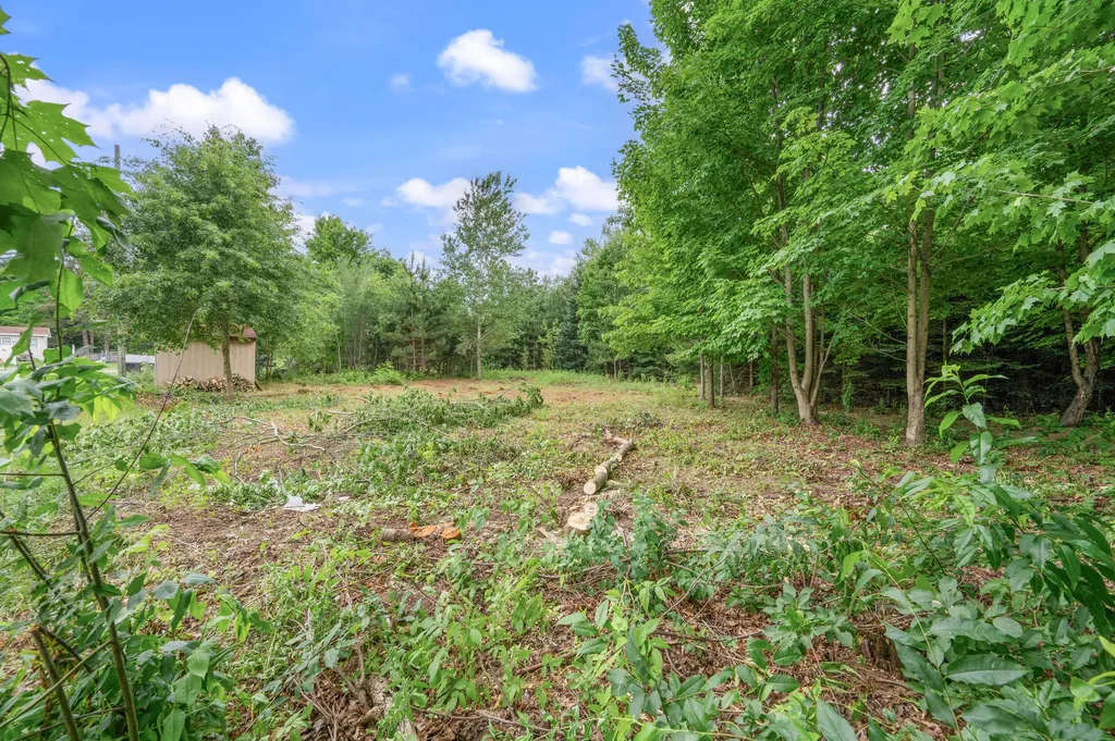 3522 S 37 Road Selma Township MI 49601