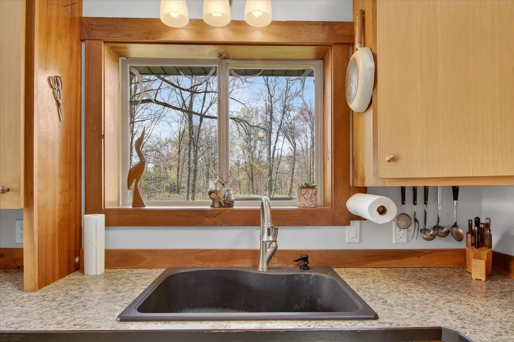 17099 Sierra Drive Colfax Township MI 49307
