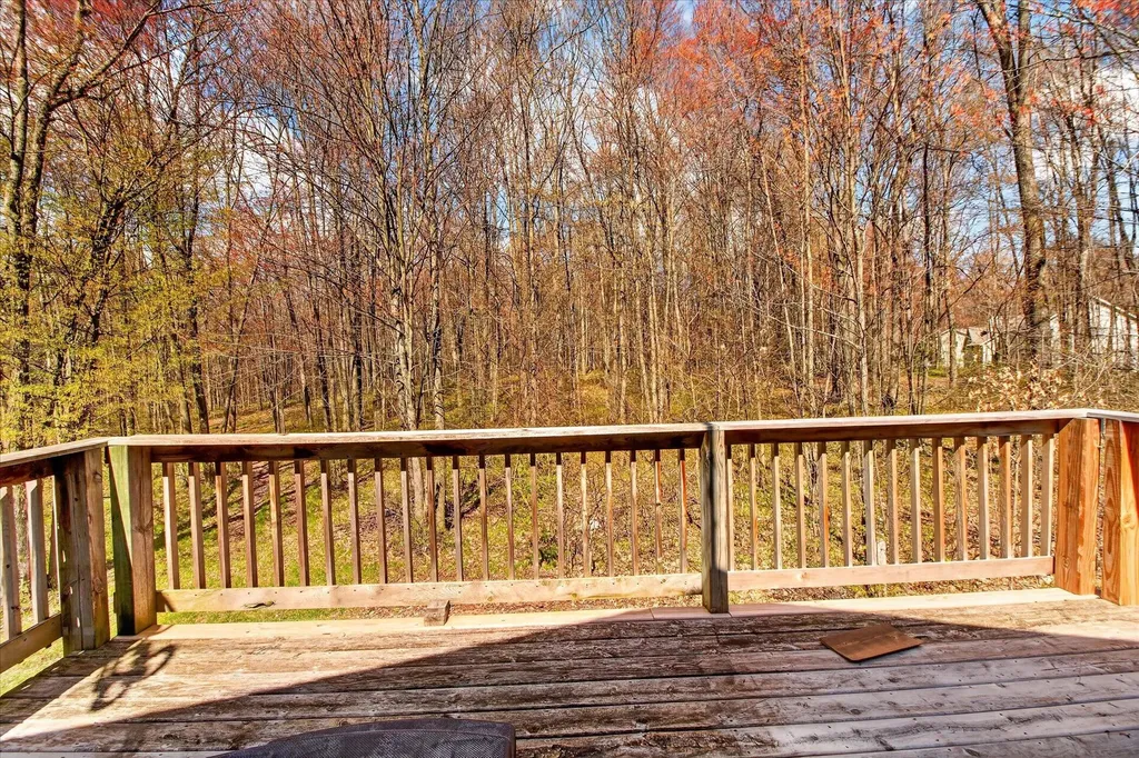 17099 Sierra Drive Colfax Township MI 49307