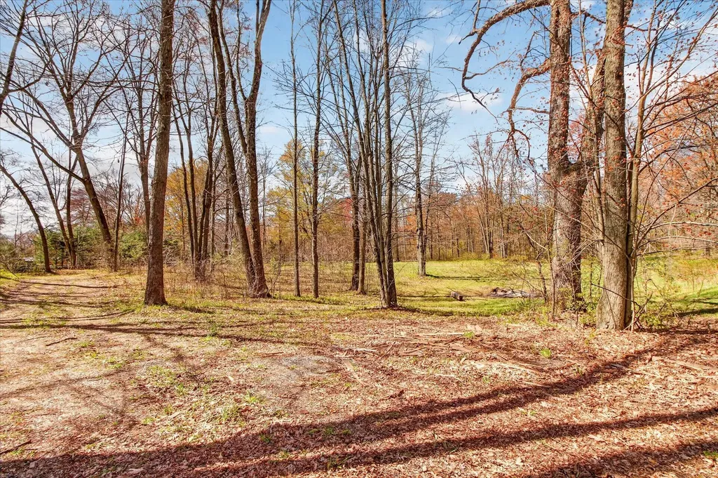 17099 Sierra Drive Colfax Township MI 49307