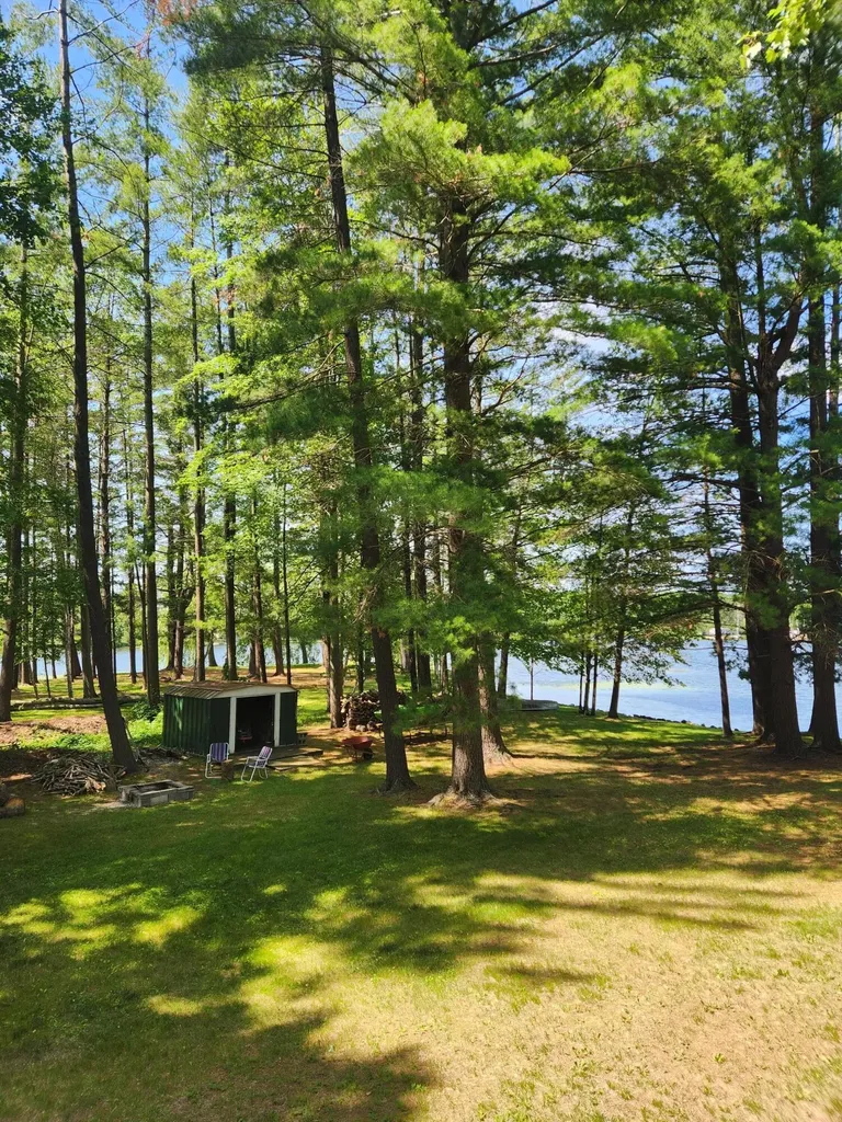 3473 N Shore Drive Orient Township MI 49679