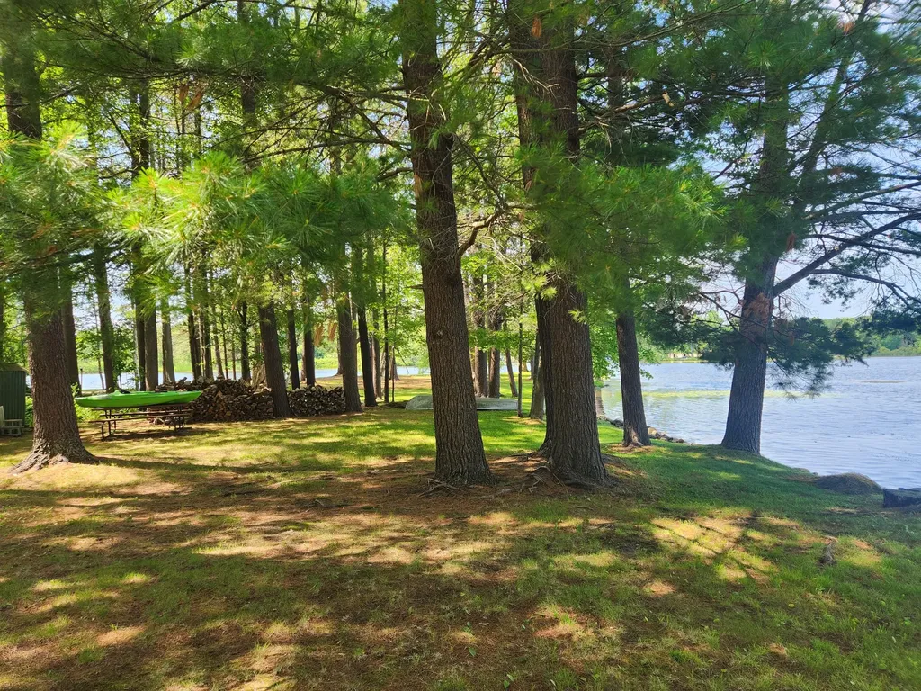 3473 N Shore Drive Orient Township MI 49679