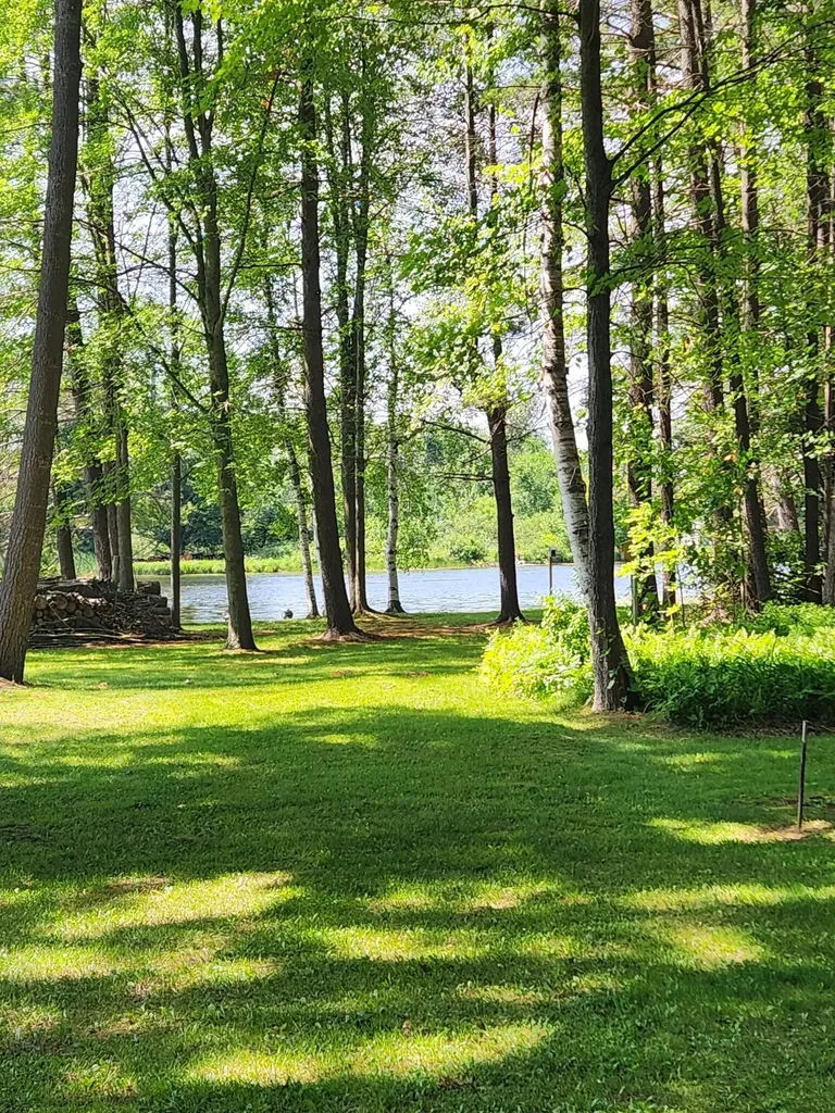 3473 N Shore Drive Orient Township MI 49679