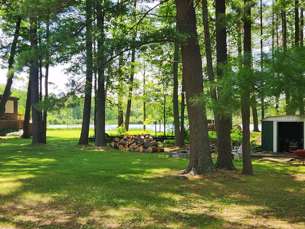 3473 N Shore Drive Orient Township MI 49679