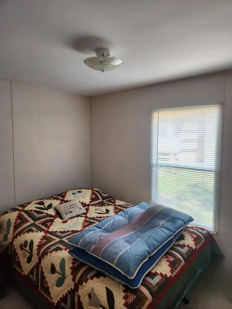 3473 N Shore Drive Orient Township MI 49679
