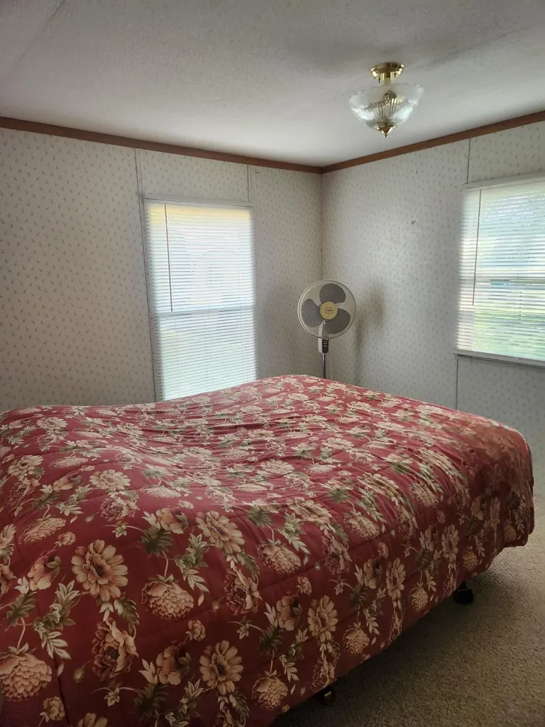 3473 N Shore Drive Orient Township MI 49679