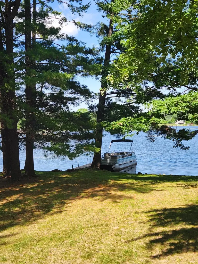3473 N Shore Drive Orient Township MI 49679