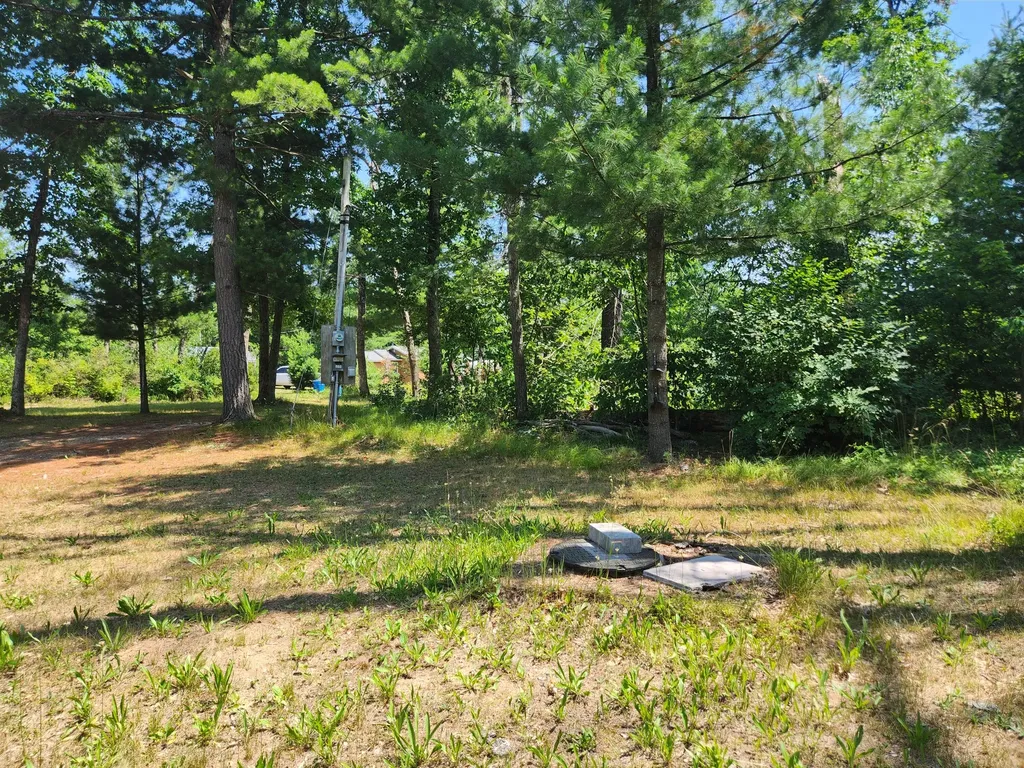 8253 S Washington Avenue Pleasant Plains Township MI 49304