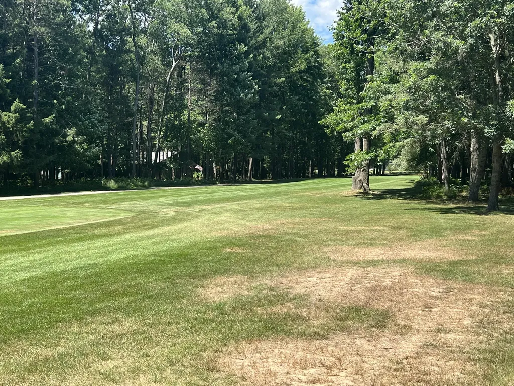 6805 Mayfair Drive Morton Township MI 49346
