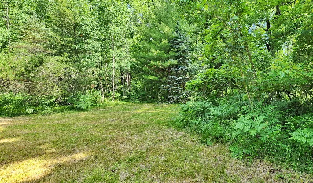 5641 N Oak Avenue Monroe Township MI 49349