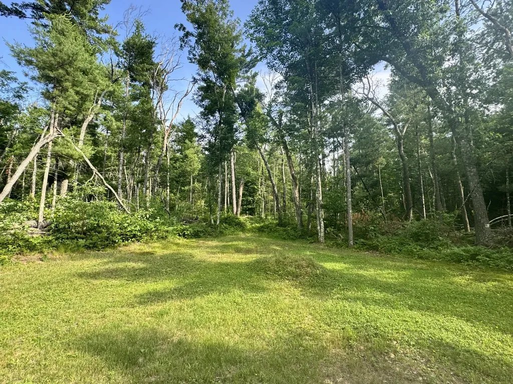 8338 E Wilderness Trail Goodwell Township MI 49349