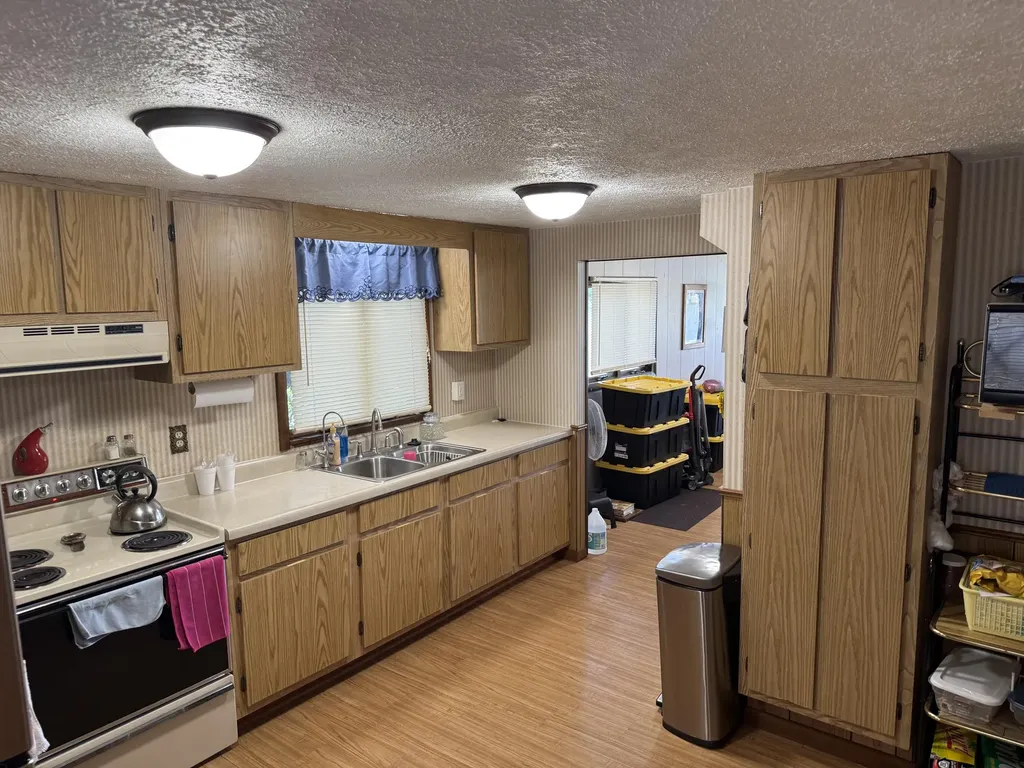 141 S Beechwood Drive SW Sidney Township MI 48888