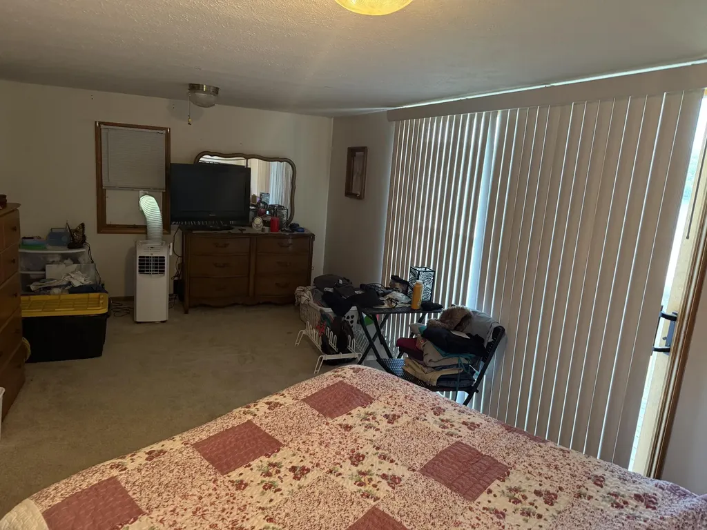 141 S Beechwood Drive SW Sidney Township MI 48888