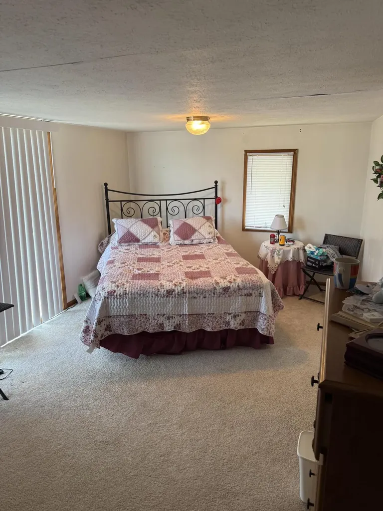 141 S Beechwood Drive SW Sidney Township MI 48888