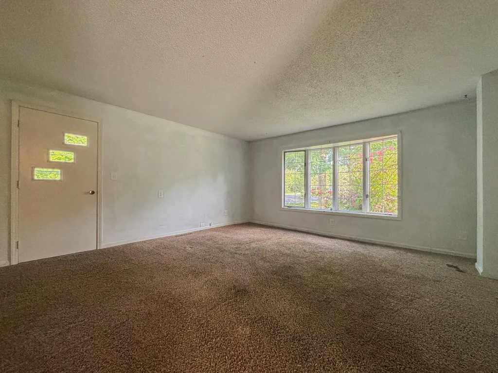 136 Sturgis Street Hubbardston Village MI 48845