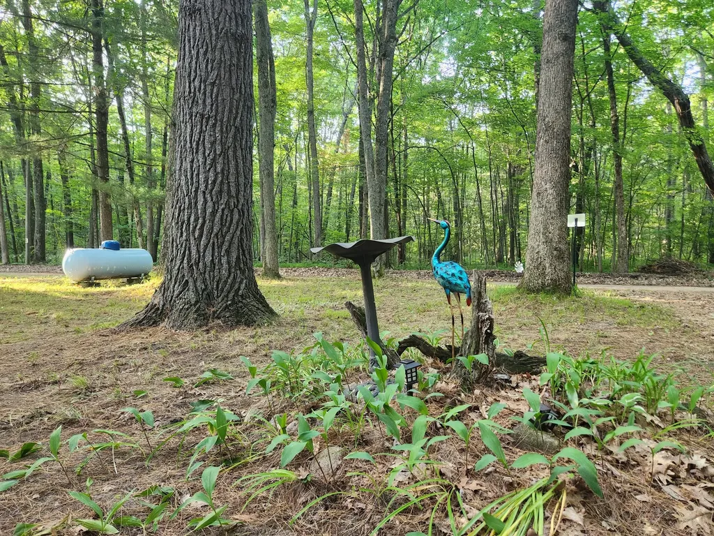2151 W Northern Avenue Peacock Township MI 49304