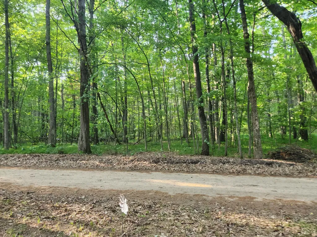 2151 W Northern Avenue Peacock Township MI 49304
