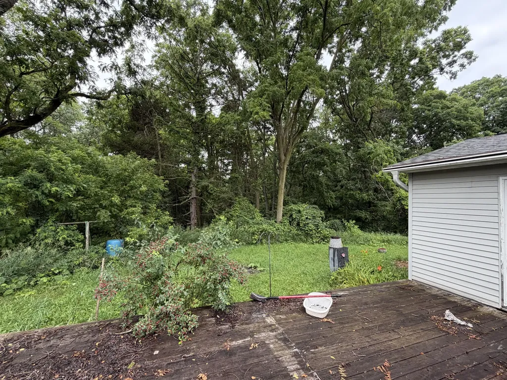 4488 Miriam Road Belding City MI 48809